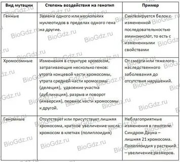 Характеристика и пример мутационной изменчивости
