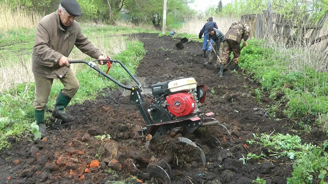 Пашу мотоблоком с фрезами видео. Мотоблок для огорода. Пашу мотоблоком. Фреза каракатица. Ручная фреза для огорода своими руками.