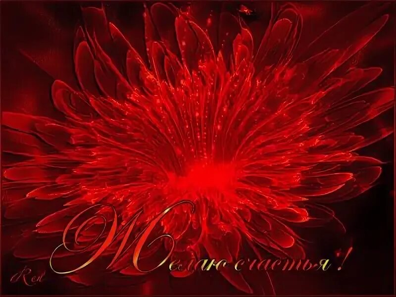 Цветок исполнения желаний. Магический цветок счастья. магический цветок счастья анимация. магический цветок счастья гиф. волшебный букет.