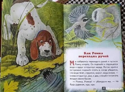 Пришвин лимон