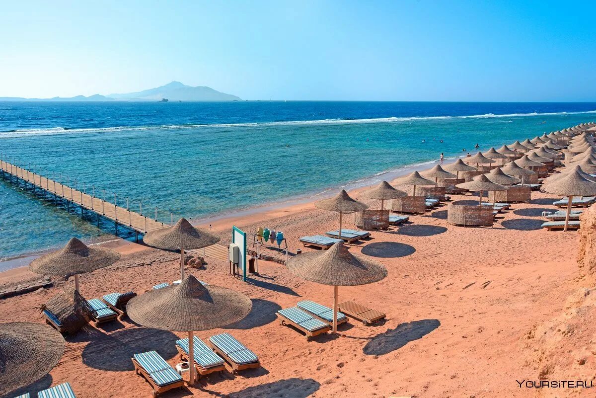 Курорт шарм эль шейх. Charmillion club resort (ex. sea club resort) 5*. charmillion отель египет. sea garden шарм-эль-шейх. sea club египет шарм-эль-шейх.