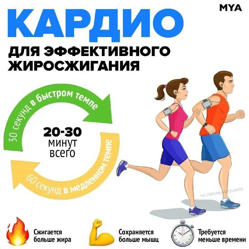 После силовых можно ли кардио. Круговые тренировки для сжигания жира для женщин. Карло тренировка для похудения. Упражнения кардиотренировки для сжигания жира. Кардио тренировки для снижения веса.