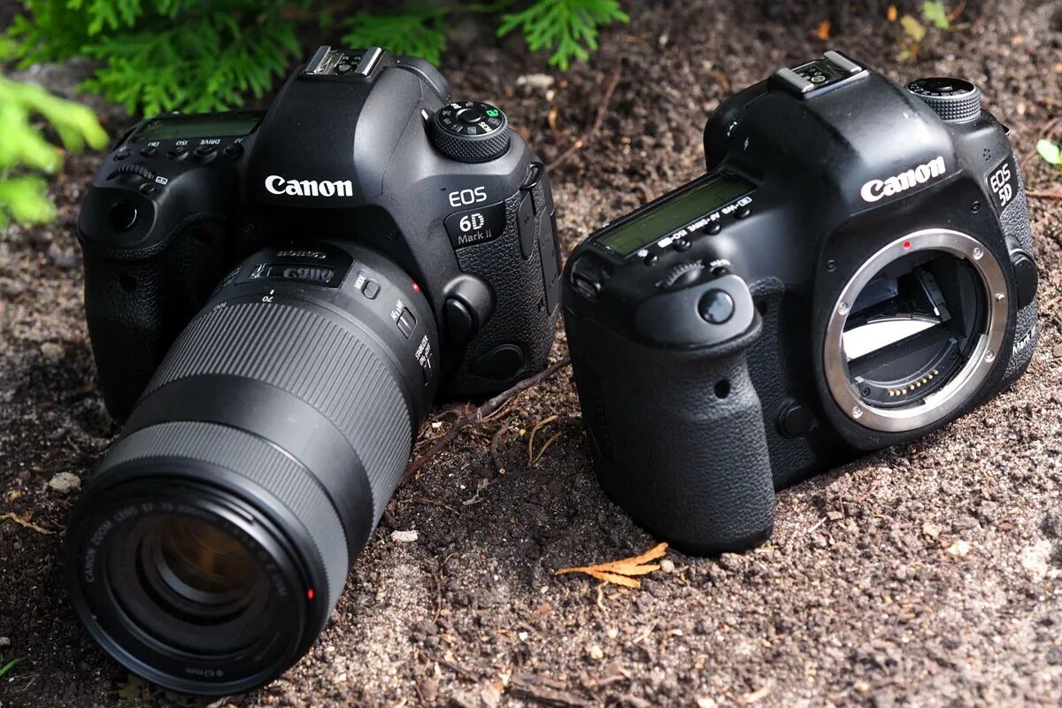 Canon 5d vs 5d mark. Canon 6d Mark 2. Canon EOS 6d Mark II. Кэнон 6д.