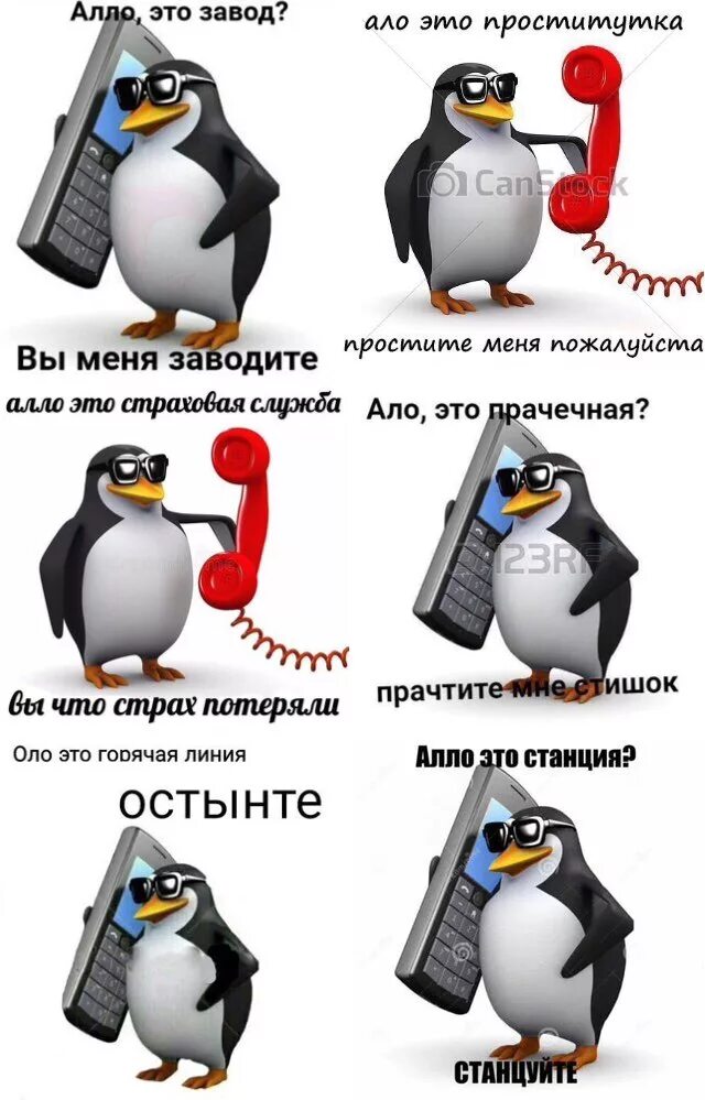 Кот говорит алло. Пин Мем. Мемы с пингвинами. Пингвин Мем. Пингвин с телефоном.