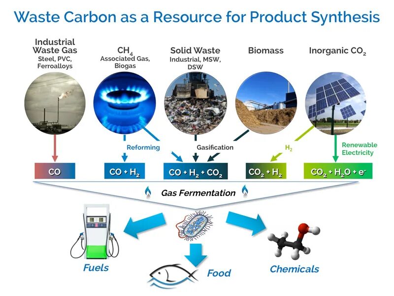 Carbon waste. Waste gas. inorganic waste. sources of waste. chemical waste.
