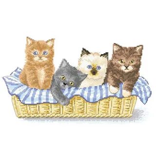 Kitties galleries