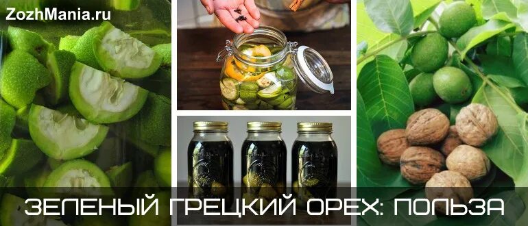Польза зеленого ореха с медом. Мазь зелёный грецкий орех. Грецкий орех с мёдом. Перемолотые орехи с медом. Лекарство из зеленого грецкого ореха.