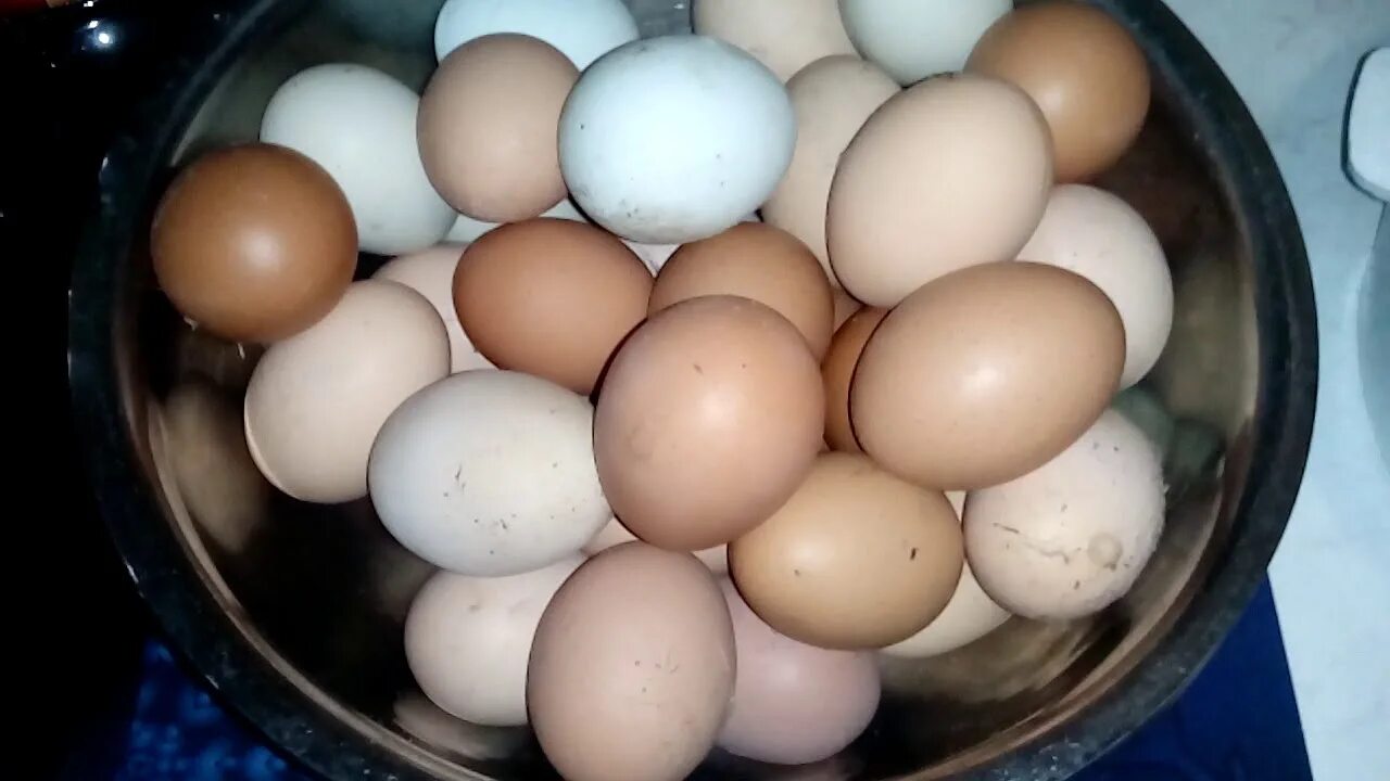 Цены на яйца в странах. Дагестанские яйца. Яйцо домашнее куриное. Яйца куриные Утиные перепелиные. Красные яйца куриные.