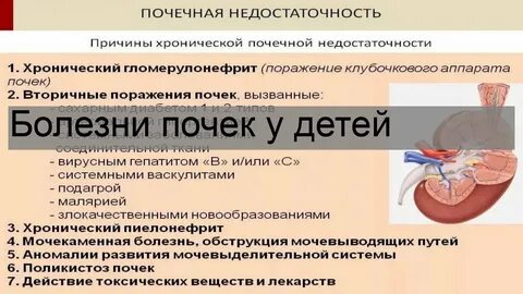 Лечение почек у детей