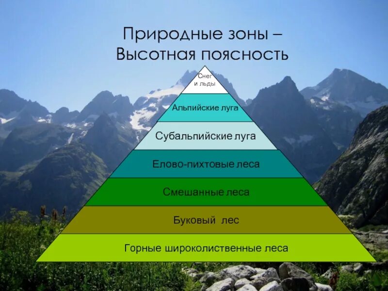 Природные зоны Кавказа Высотная поясность. Зоны ВЫСОТНОЙ поясности Кавказа. Высотная поясность в горах. Высотная поясность в горах Кавказа.