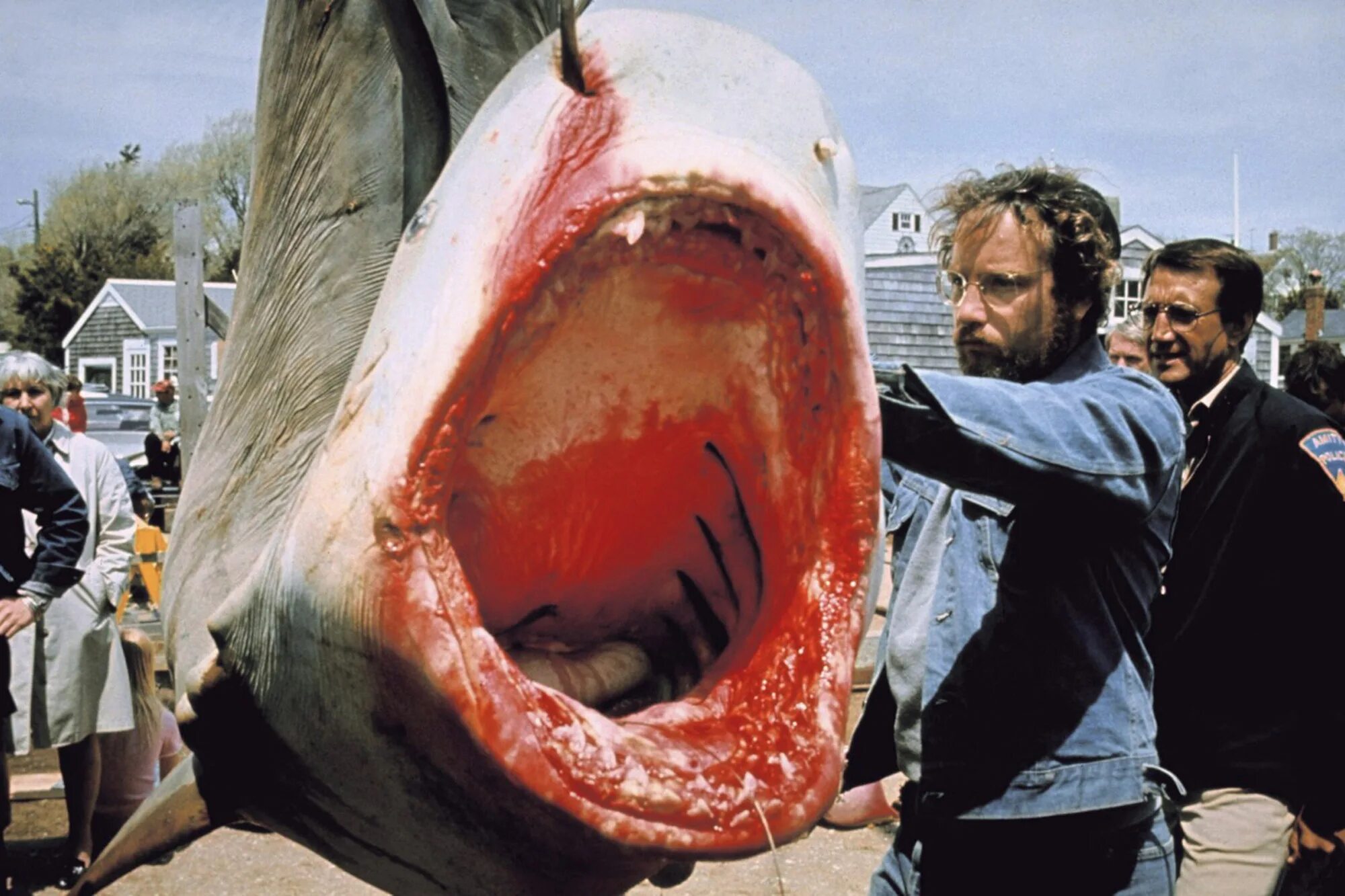 Jaws