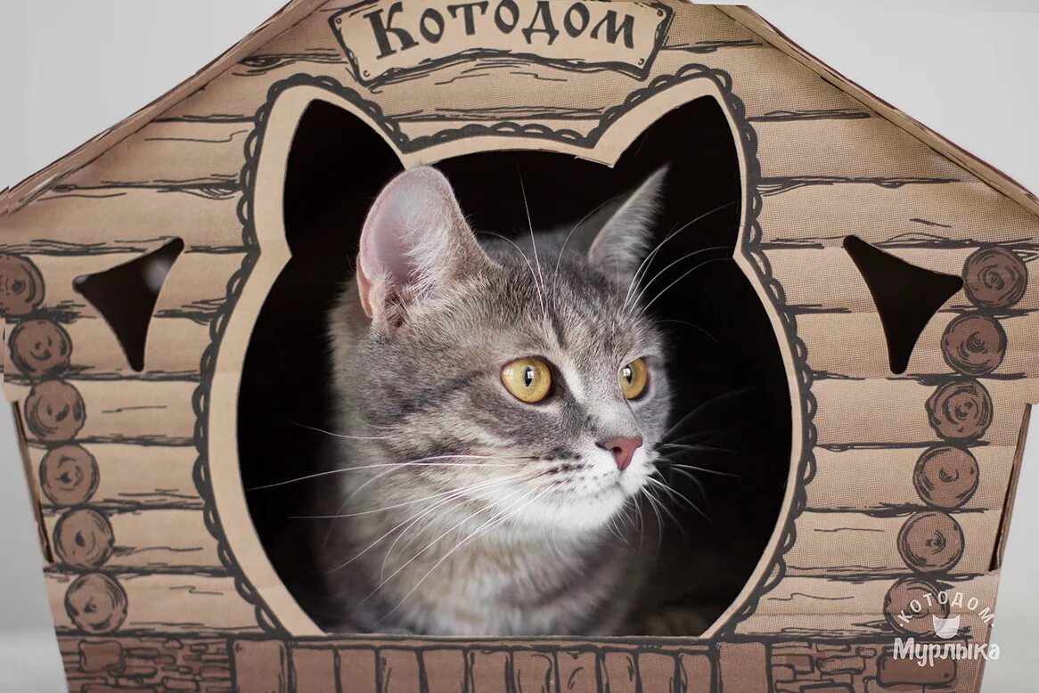 Котодом. Котодом домики для кошек. котодом няндома. котодом табличка. котодом самара.