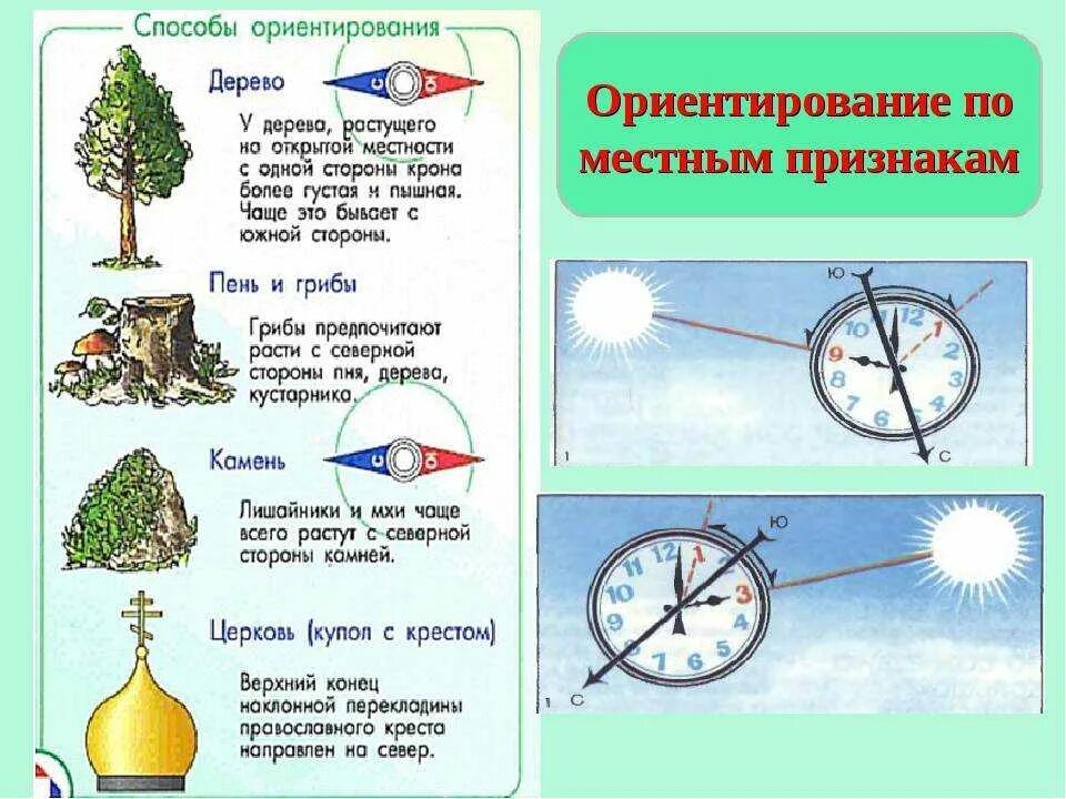 Распредели все стороны горизонта по группам. 4 Способа ориентирования без компаса. Приметы ориентирование без компаса. Ориентирование по местным признакам. Ориентирование и способы ориентирования на местности.