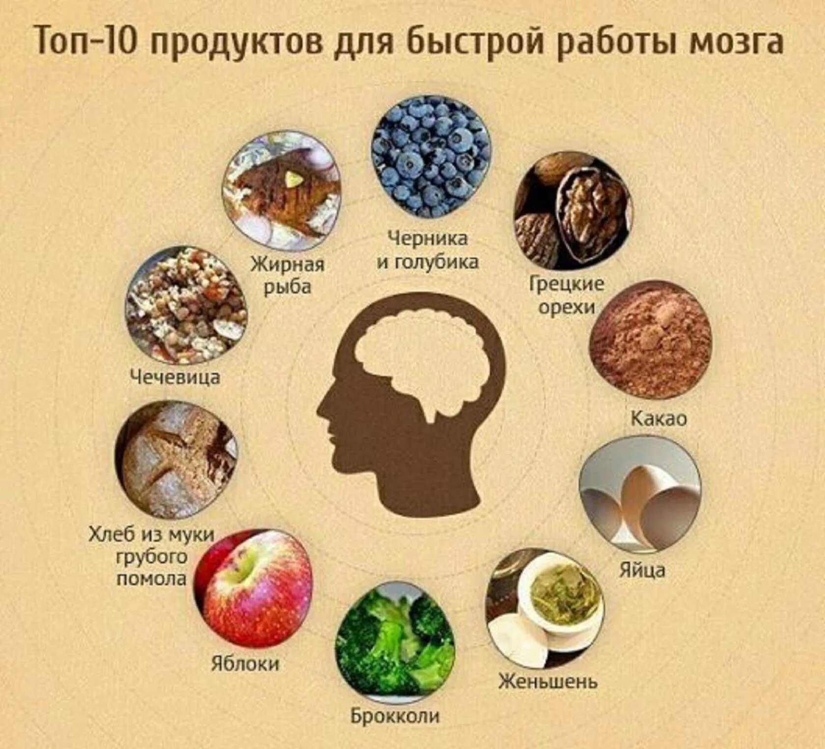 Продукт деятельности мозга