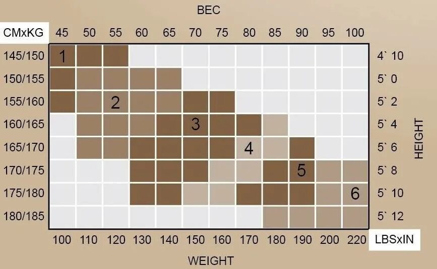 Размерная таблица капроновых колготок. Колготки женские капроновые Размерная таблица. Размеры капроновых колготок. Таблица размеров женских колгот. Какой размер колготок нужен