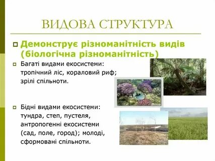 Видовой состав трав