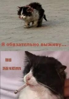 Отпусти меня ебучий
