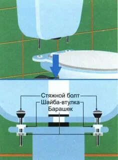 Бочок как правильно