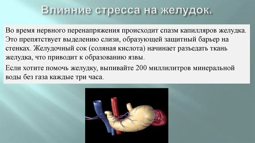 Постоянное воздействие стрессов приводит к. Воздействие стресса на желудок. Влияние стресса на пищеварительную систему. Влияние стресса на ДКТ.