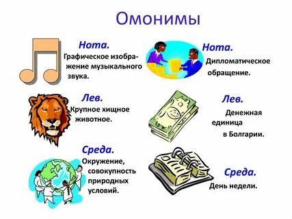 Омоним к слову книга