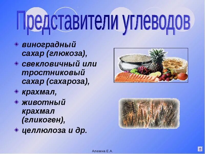 Представители углеводов. Важнейшие представители углеводов. Представители класса углеводы. Представители углеводов в химии.