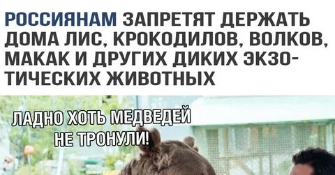 Запретят держать