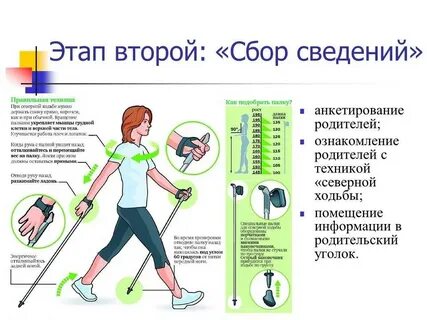 Подобрать палки для скандинавской ходьбы пожилых