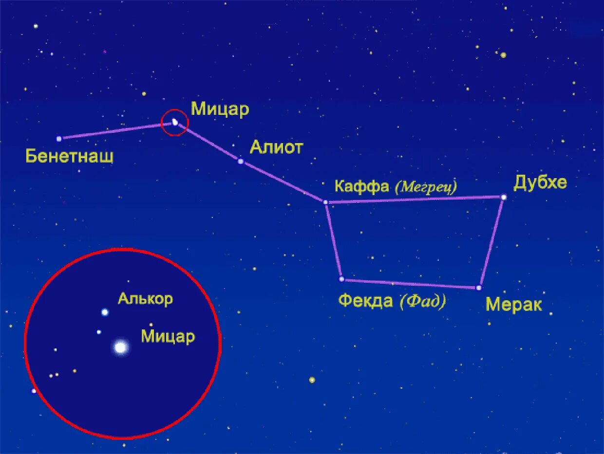 Большая Медведица Созвездие название звезд. Звезды в созвездии большой медведицы. Большая Медведица название звезд на схеме. Звезда мерак в созвездии большой медведицы. Большая медведица видна