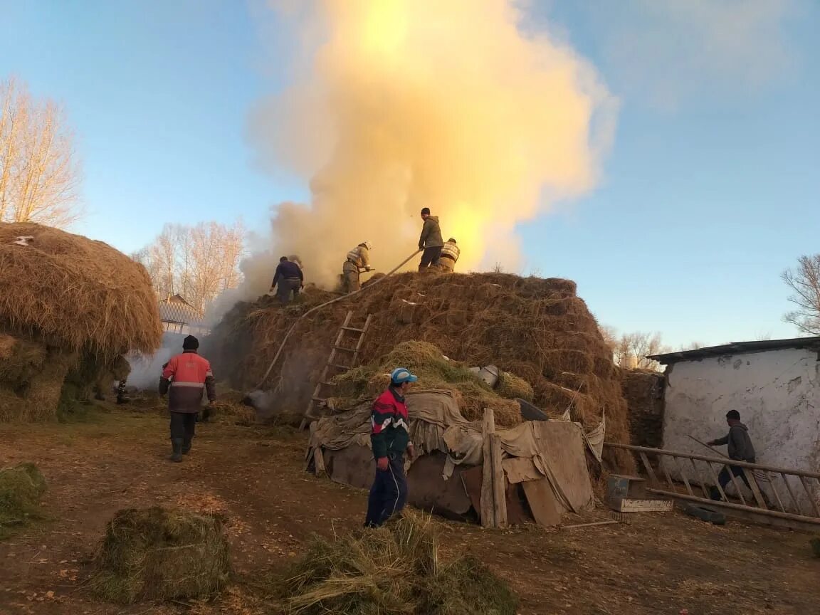 Сенокос пожар. Лесной пожар в Бородулихинском районе. Пожар в ВКО 2021. ВКО Ивановка Казахстан. Что произошло в казахстане с девушкой