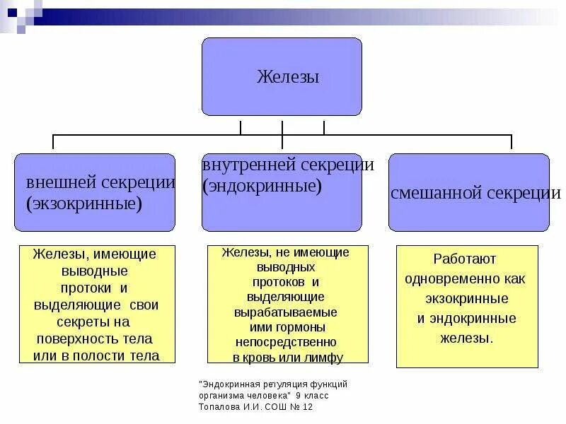 Тип секреции 1 внешняя 2 внутренняя. Функции желез внешней секреции таблица 8 класс. железы внешней секреции это в биологии 8 класс. таблица железы внутренней секреции презентация. функции желез внешней секреции таблица.