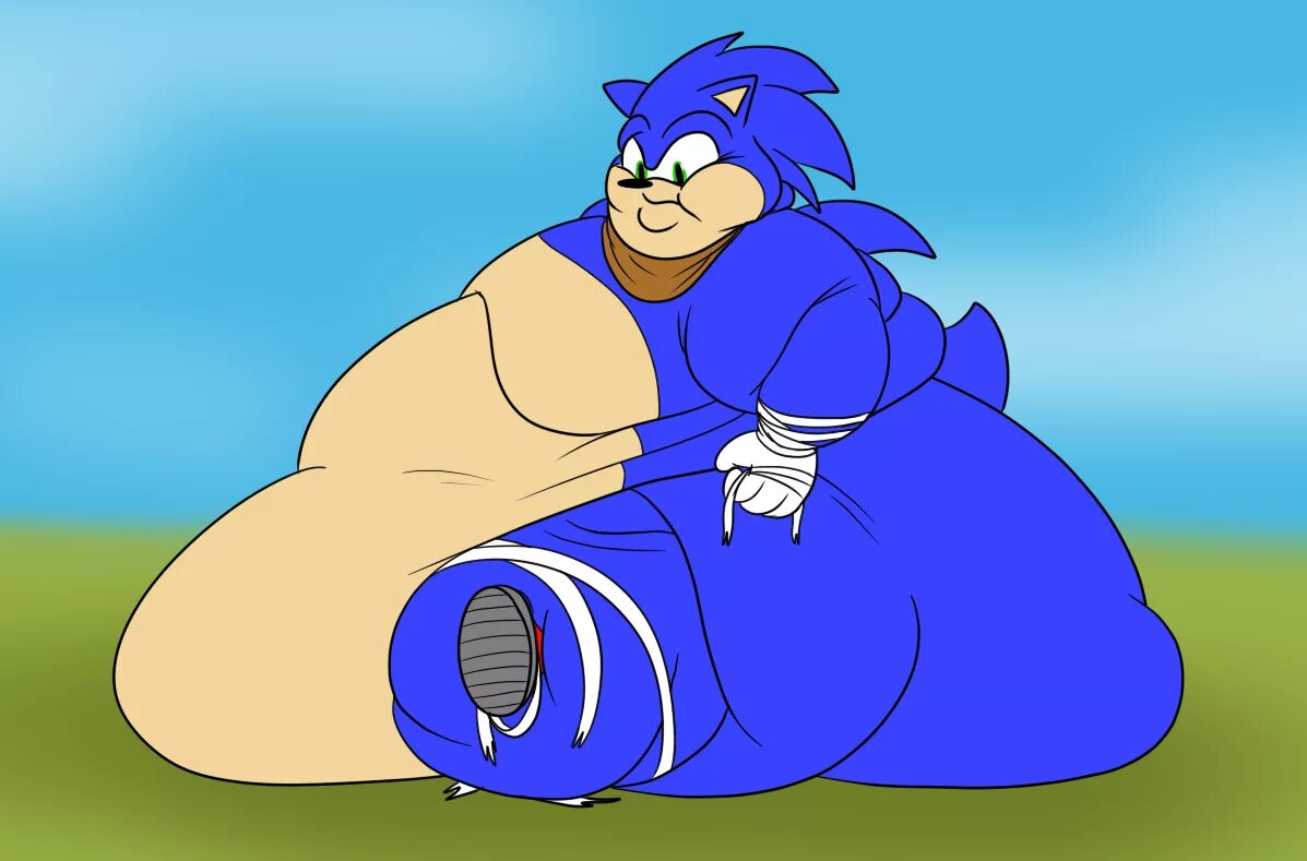 Качка соника. Fat Sonic Weight gain. Fat Amy by guyfuy. Соник толстый Соник. Соник fat furs.