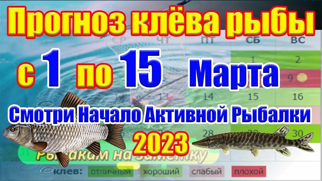 Календарь клева рыбы на март 2024г. Календарь рыболова. Рыболовный календарь на март. Календарь рыбака 2023. Календарь рыболова 2023.