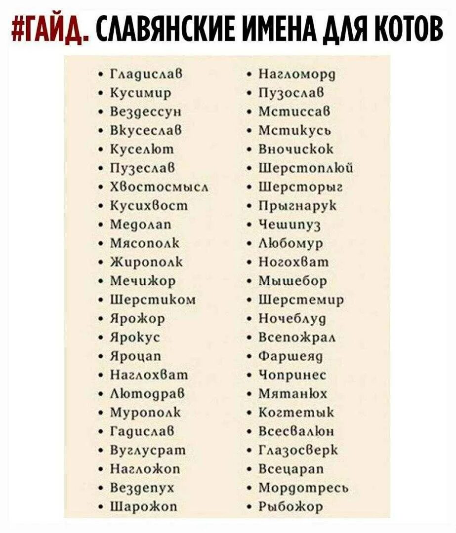 Как можно красиво назвать. Славянские имена. Старославянские имена. Славянские и Ена котов. Старорусские имена для котов.