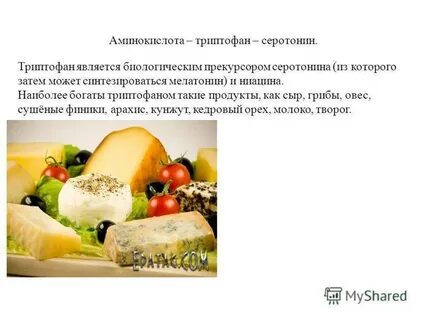 Триптофан где содержится больше