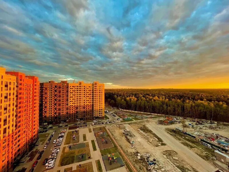 Форумы томилино. Томилино парк фото.