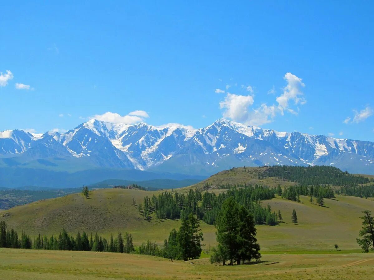 Курай горный Алтай. Курай село Алтай. Курай горный Алтай горы. Северо Чуйский хребет село курай.