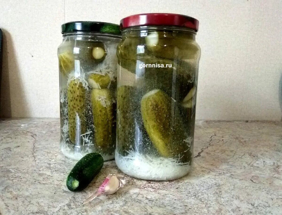 Огурчики в горчице на зиму. Огурцы под зиму. Огурцы под пластмассовой крышкой на зиму. Огурцы под зиму. Рецепт ядреных огурцов на зиму.