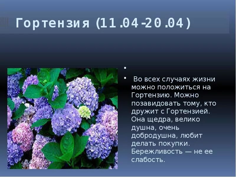 5 апреля цветок. Цветы по гороскопу. Цветочный гороскоп.