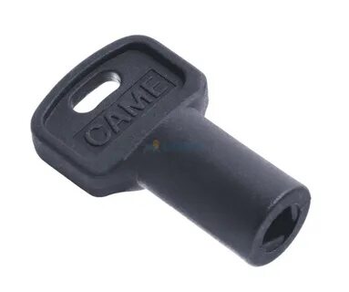 Came key