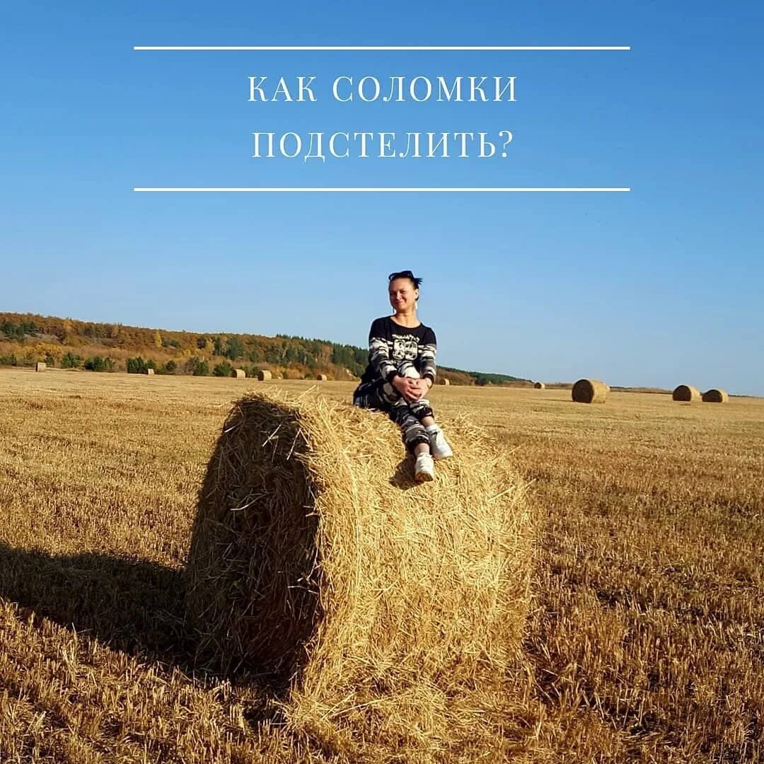Знать бы где упасть соломки. Подстелить соломку. знать бы где соломку подстелить. подстеленная соломинка. знать где соломку подстелить.