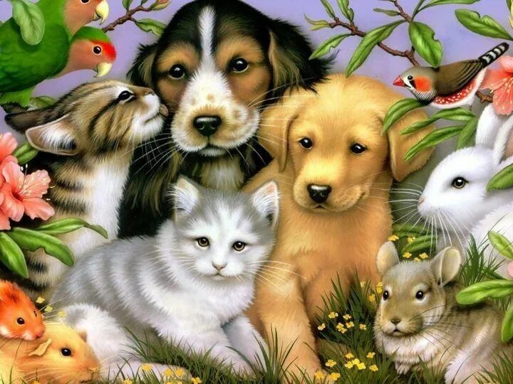 Творческая работа наши меньшие друзья. Домашние животные. Домашние любимцы. Всемирный день домашних животных. Рисунки с животными.