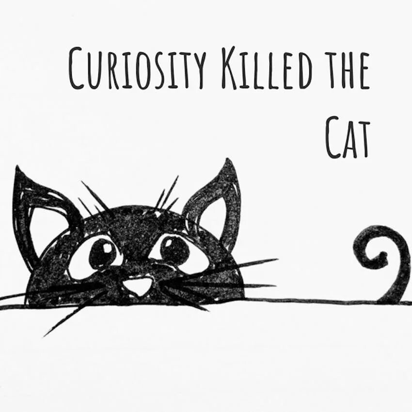 Curiosity killing the cat. Curiosity Killed the Cat. Curiosity Killed the Cat русский эквивалент. Curiosity Killed the Cat but satisfaction brought it back. Пословица Curiosity Killed a Cat..