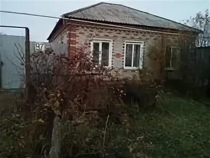 Авито шадринск объявления от частных. Авито шадринск. недвижимость шадринск. хлызово шадринск. дом клик шадринск недвижимость.