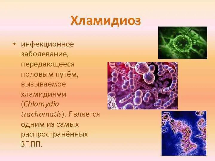 Заболевание хламидиоз. Заболевания передающиеся половым путём хламидиоз. Заболевания передающие половым путем хламидии. Хламидиоз передается через