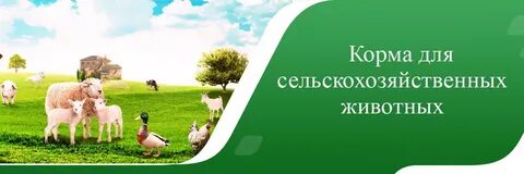 С х комбикорма