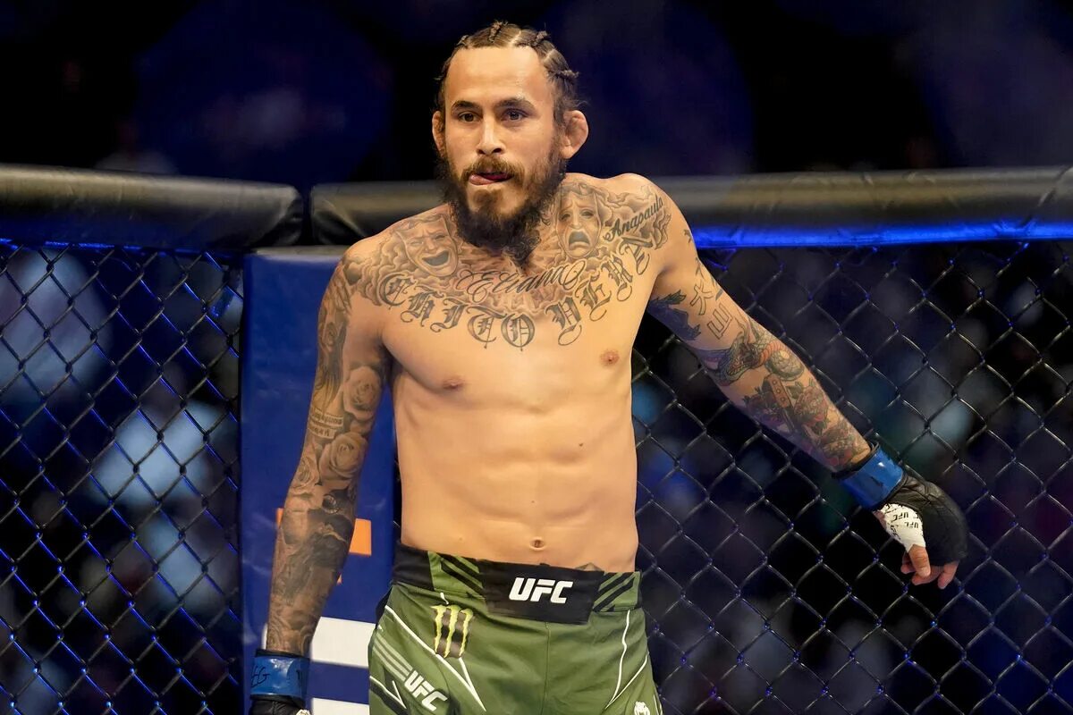 Чито вера боец. Ufc блахович ракич. Оверим дос сантос. Ufc 297 watch. Джош гриспи.