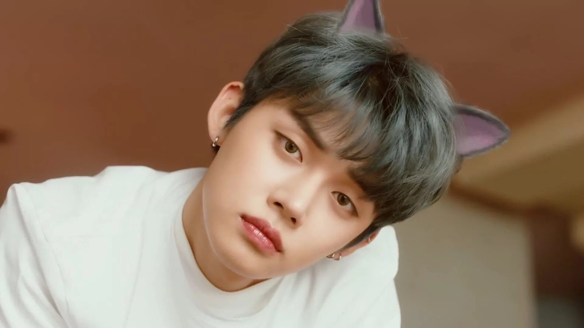 Порода собак королевский дог. Txt beomgyu. Дог преса канарио. Кату дог. Кату дог.