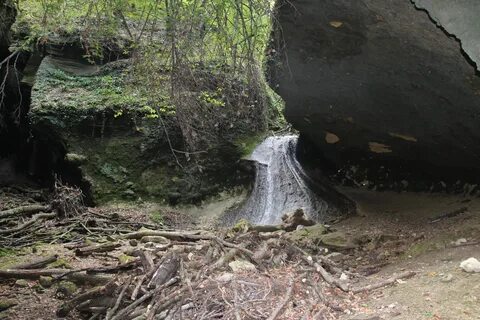 Баракаевская