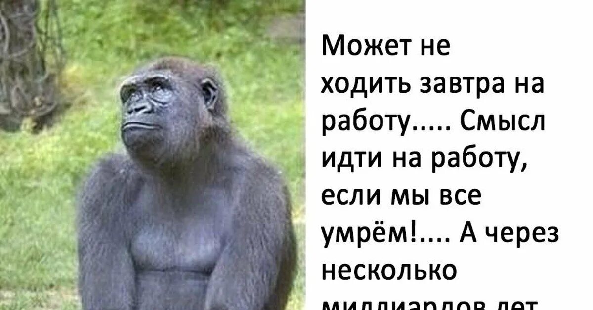 Нормально где работаете