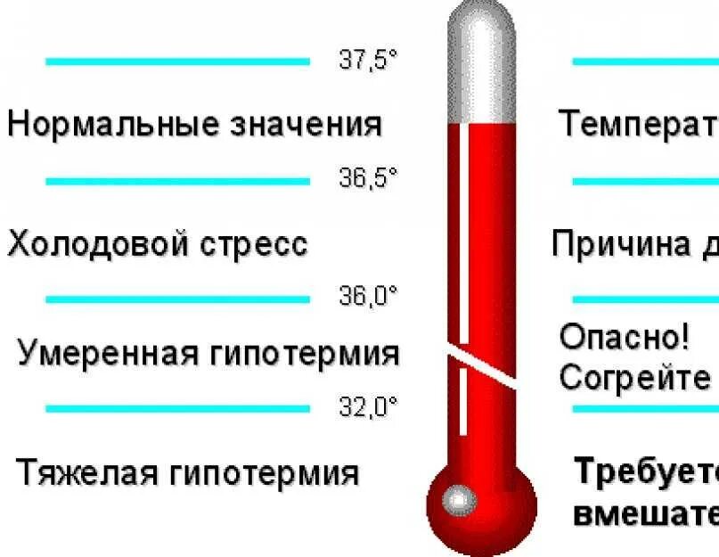 Вечером температура 35. Температура. Температура человека. Нормальная температура тела. Пониженная температура тела.